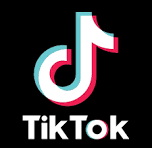 Tiktok Icon Black tik tok Download png